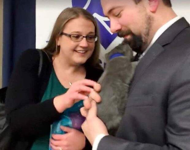 man-proposes-girlfriend-tiny-rescue-cat-vinegret-6