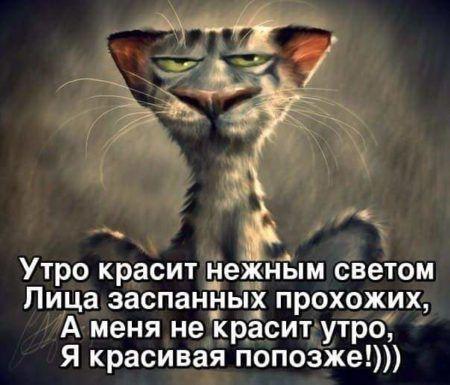 Очень прикольные картинки