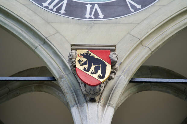 Медвежий пенис оставили на гербе Берна