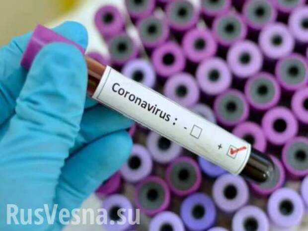 Гренландия первой в мире победила коронавирус