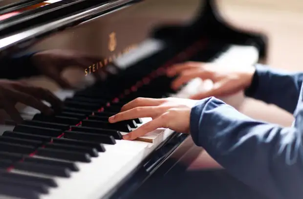 Почему мозг пианистов отличается от мозга других музыкантов