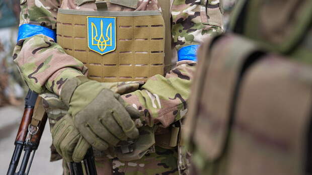 Украинцы потребовали расформировать батальон ВСУ после провалов в Гуляйполе