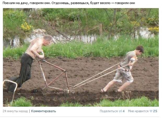 Приколы