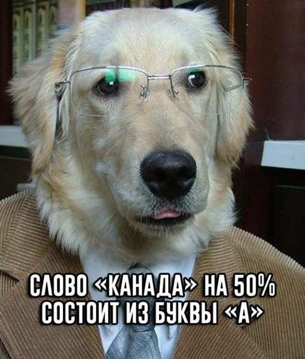 Юмор и приколы из социальных сетей