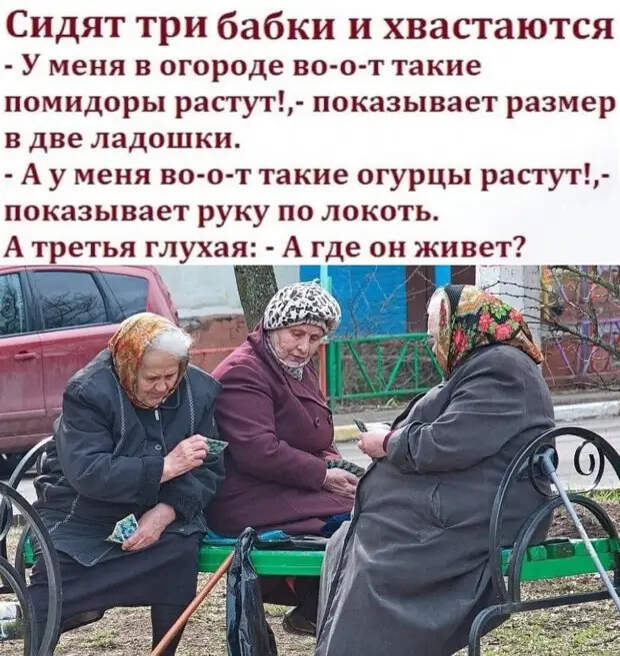 Поехали на природу и разбили в машине несколько бутылок вина...