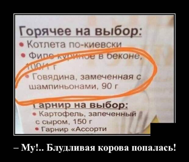 Демотиваторы (30 фото)