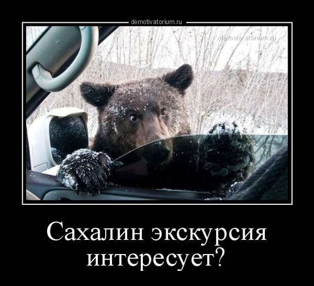 Похожее изображение