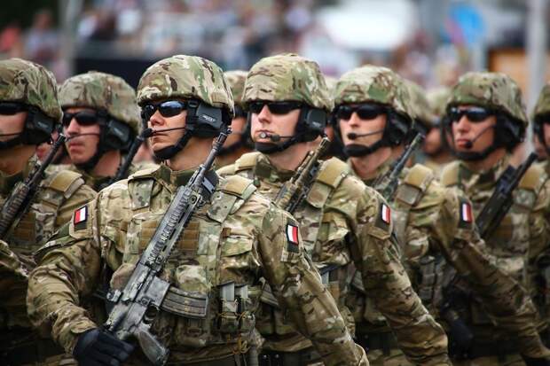 Глава Минобороны Польши Косиняк-Камыш: польская армия должна быть увеличена до 500 тысяч человек