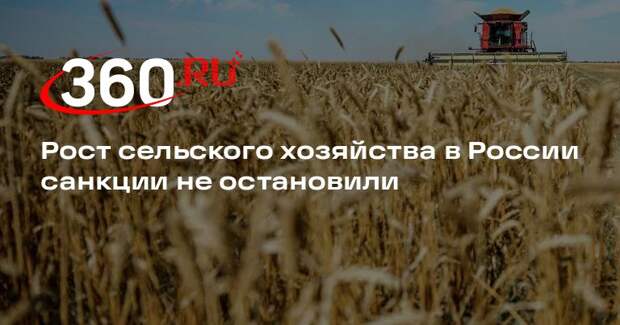Эксперт Березнюк: сельское хозяйство РФ показало рост даже в условиях санкций