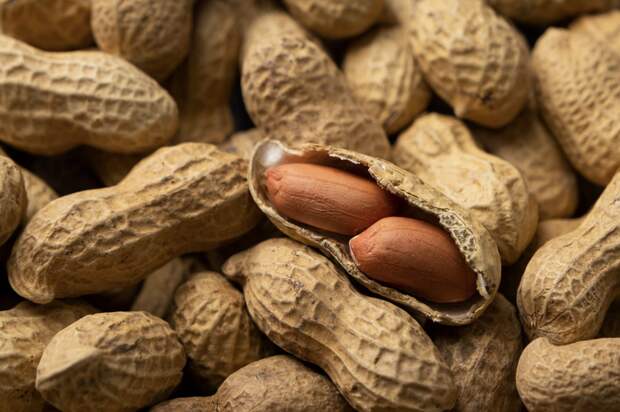 Врач Цуканова: Детям до 10 лет можно давать до пяти орешков арахиса в день