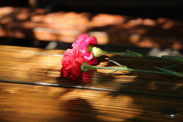 Названа причина смерти актера Тихона Котрелёва