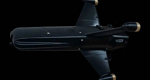 Ветераны в США хотят от Пентагона денег на производство перехватчика «Шахедов»