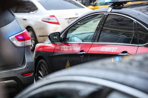 Полиция раскрыла информацию о возможном похитителе девочки из Смоленска