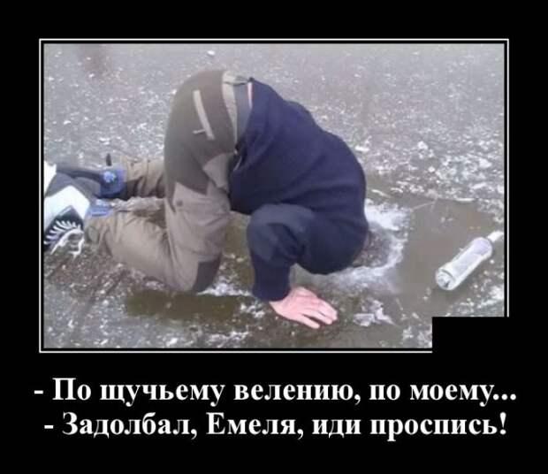 demotivatory-demotivator-smeshnye-demotivatory-demotivator-so-smyslom