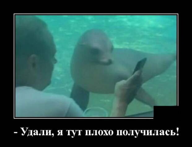 Демотиваторы (20 фото)