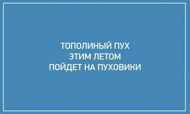 Смешные картинки с надписями (20 фото)