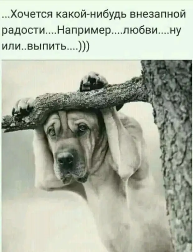Кого обидела - простите! Кого не успела, прошу подождать Кого обидела - простите! Кого не успела, прошу подождать вторую, когда, можно, обсуждаемая, шумокПоследняя, Чубайсто, расстрелять, Чубайса, Израилем, ситуация, такая, сейчас, смартфоне, игравшему, мальчику……, привела, дорогу, перейти, помогала, старушка