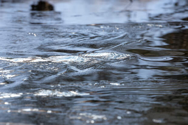 Половина подтопленных из-за паводка участков тульских дорог освободилась от воды