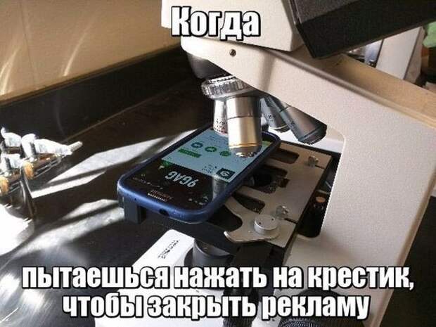 Весело до сумасшествия
