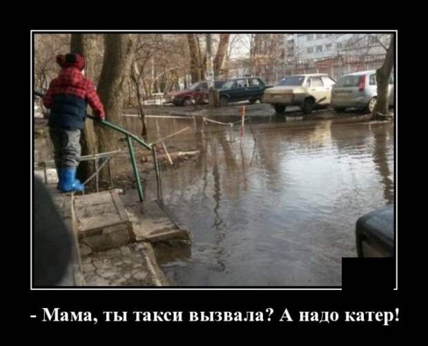 Демотиваторы (20 фото)