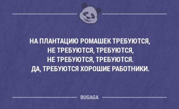 Смешные фразы и мысли со смыслом. Часть 71 (18 шт)