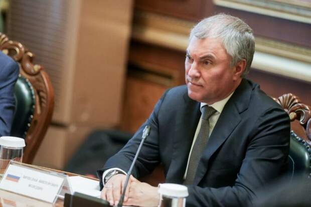 Володин спросил у россиян, запрещать ли детям мигрантов без знания языка учиться в школе