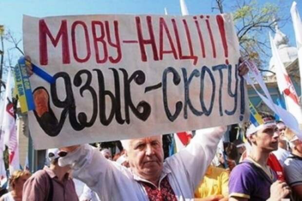 Русскоязычный – значит вор, подлец, враг?