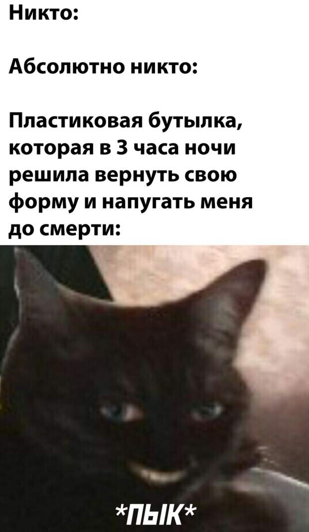 Смешные картинки 21 августа 2020