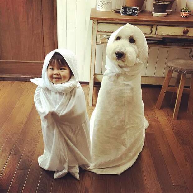 This Little Japanese Girl And Her Pet Poodle Will Make Your Day