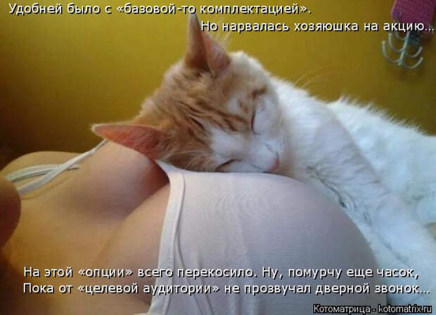 kotomatritsa_Q (700x506, 303Kb)