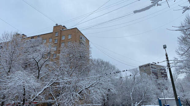 Арктическое вторжение: синоптик Ильин дал тревожный прогноз для Сибири на Пасху, 12 апреля