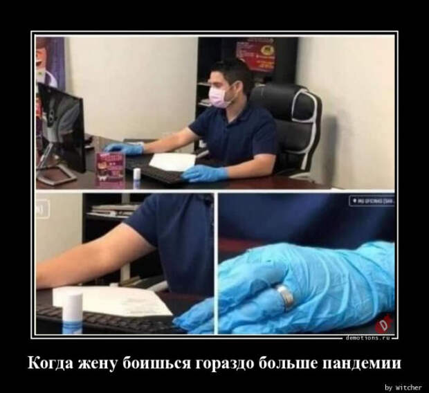 1591339558_demki-14.jpg