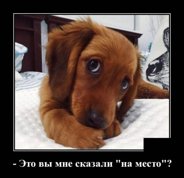 Демотиваторы (30 фото)