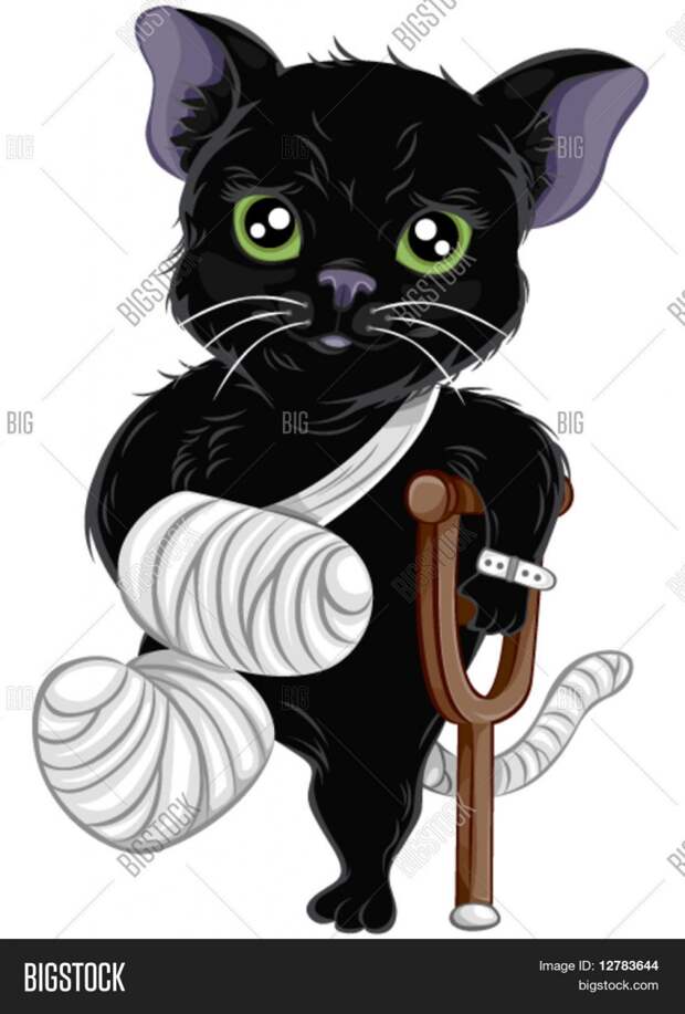Кот в гипсе рисунок