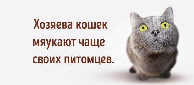 13 абсурдных фактов о нашей с вами жизни 13 абсурдных фактов о нашей с вами жизни