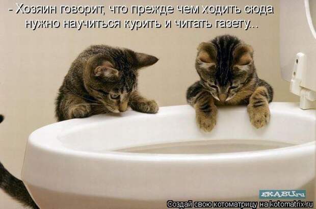 Мысли вслух :)
