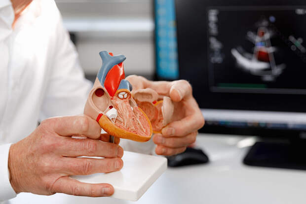 AHA: кардиологи в США рекомендовали физическую активность при утолщении миокарда