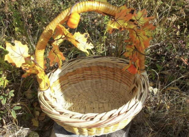 корзина