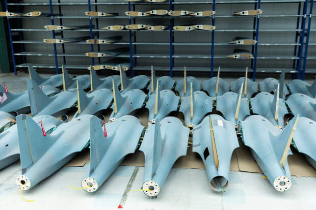 В Чехии захотели «выскочить из брюссельского поезда»