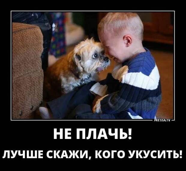 прикольные картинки с надписями