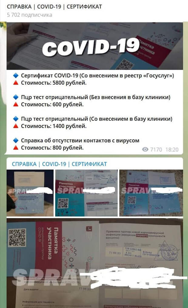 Справка об освобождении: Цена фальшивых QR-кодов в России