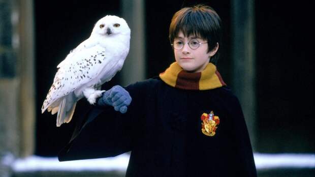 На первой встрече будет показан фильм «Harry Potter and the Philosopher’s Stone» / Кадр из фильма