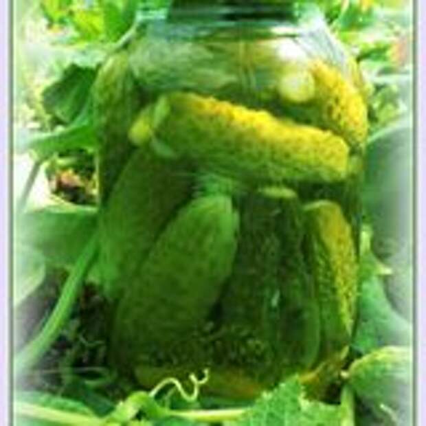 Закусочные корнишоны (как магазинные)