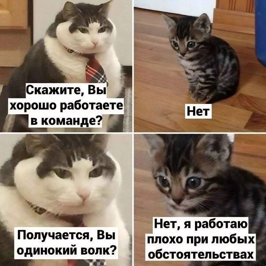 мемы