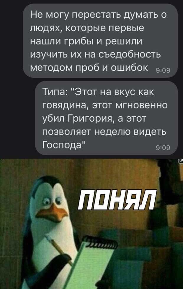 Смешные картинки вечер 29 апреля 2021