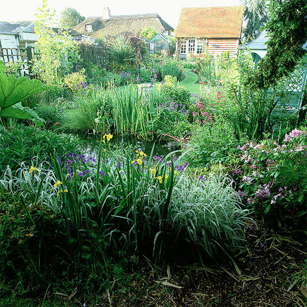 wild-garden-inspiration-herbs1.jpg