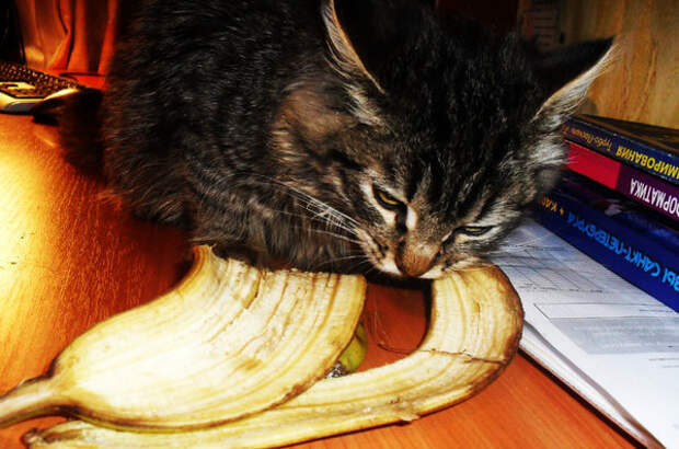 Банан это полезно :-)