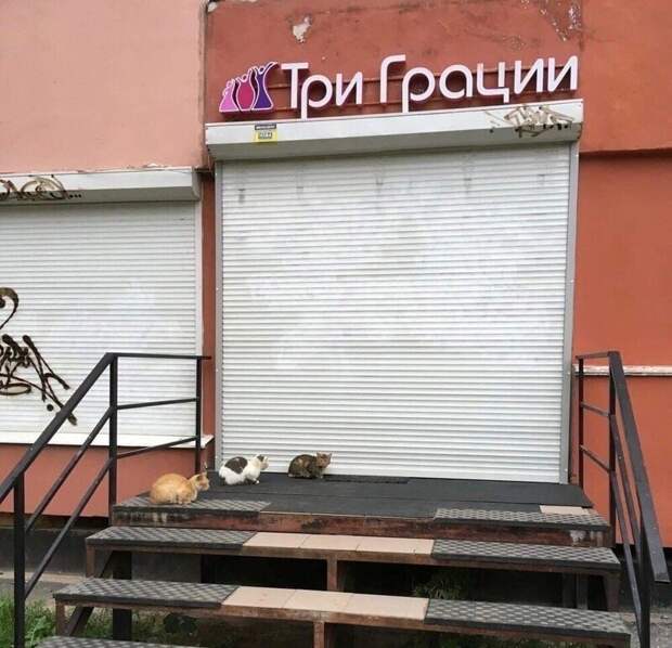 Что-то с реальностью не всё в порядке
