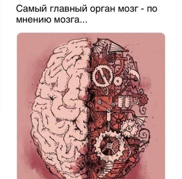 Вопросы и рассуждения, которые заставляют задуматься