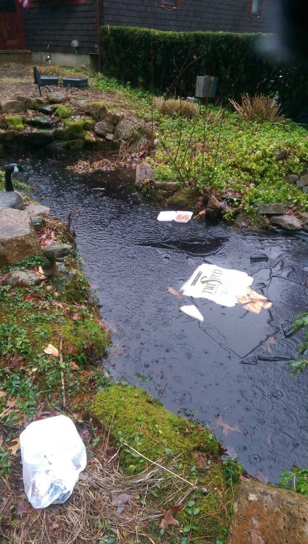 Pizza Delivery Guy Fell Into The Fish Pond